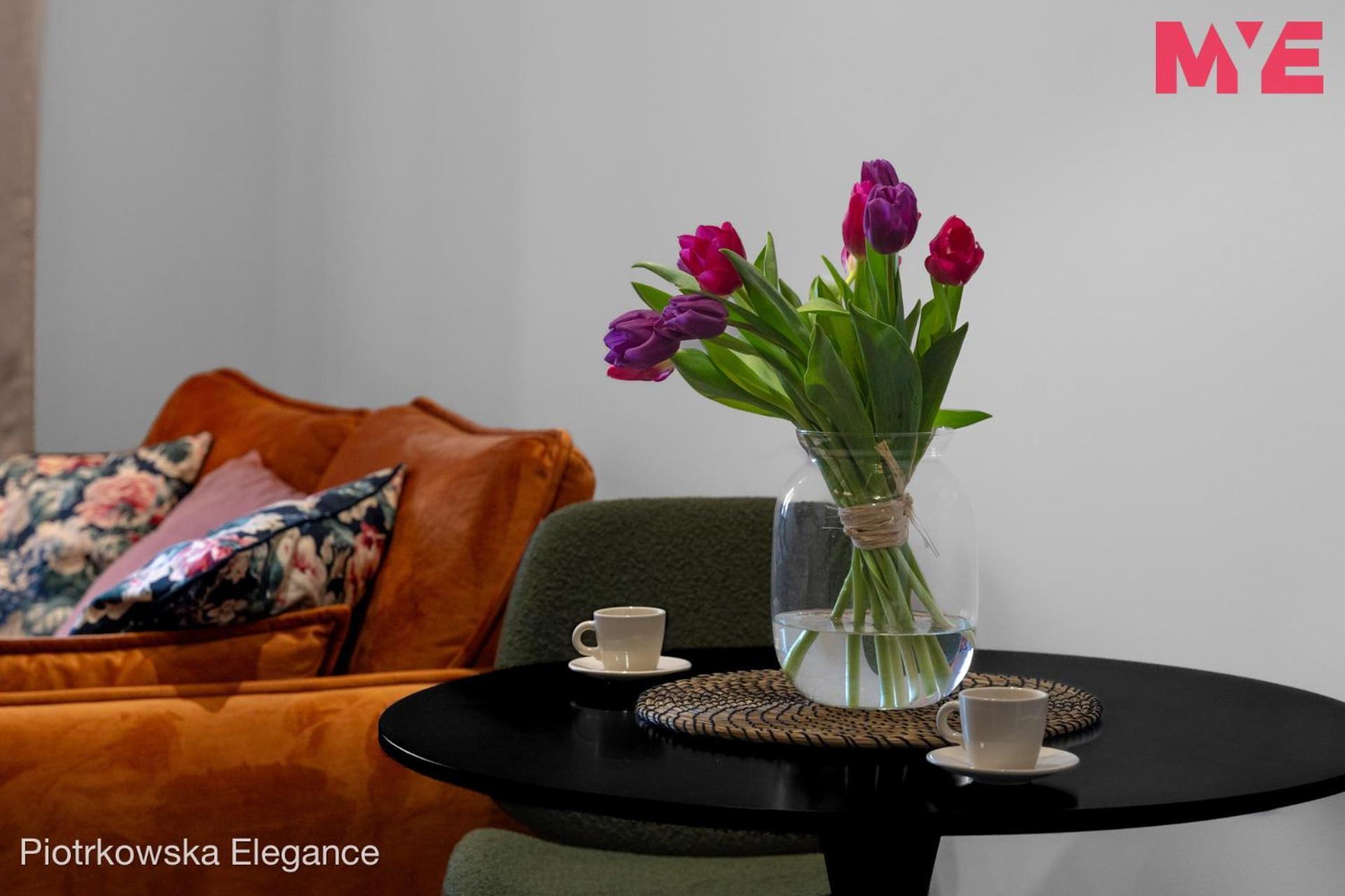 Apartament Mye - Piotrkowska 37 Elegance *